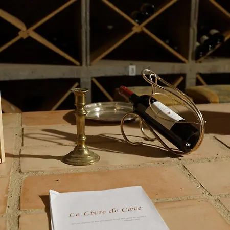 Chateau De La Caze 호텔